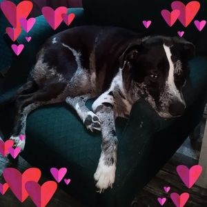 Meet your Posher, Lorraine